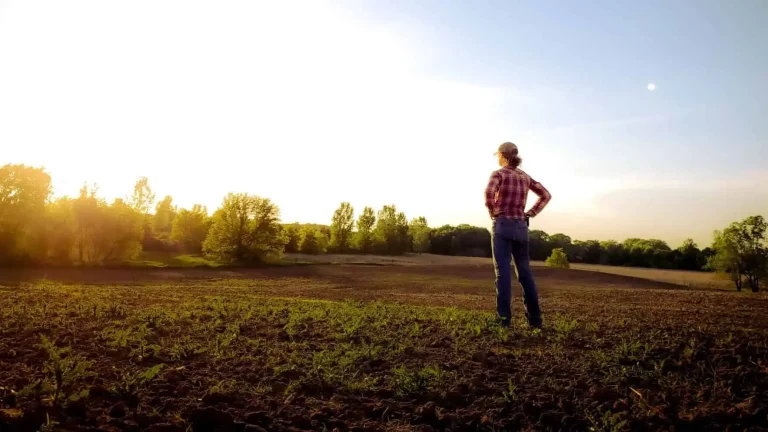 Ashley Headrick standing in a field overlooking the sunset on a farm