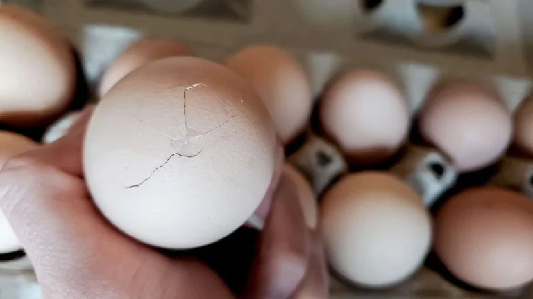 Can You Eat Cracked Eggs? 