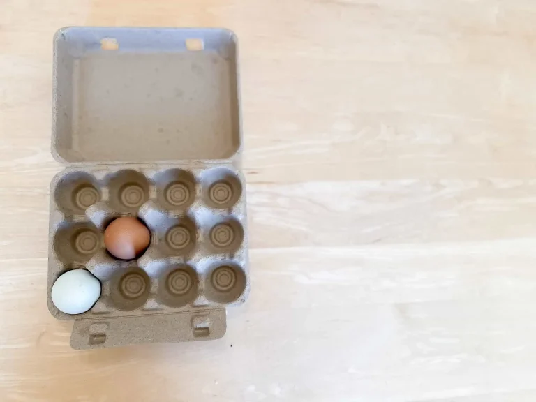 2 eggs in an egg carton
